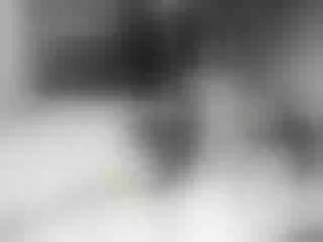 Live sex webcam photo for Nijuuyonjikan #259869658