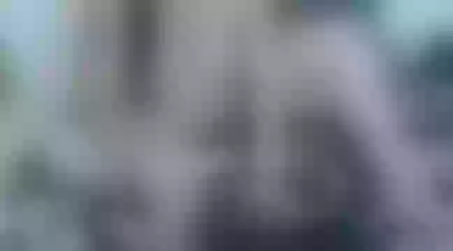 Live sex webcam photo for lauren_roses #243768153
