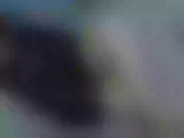 Live sex webcam photo for AVladica #253982308