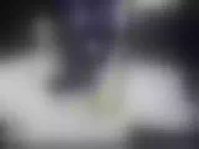 Live sex webcam photo for serenatv #261660431
