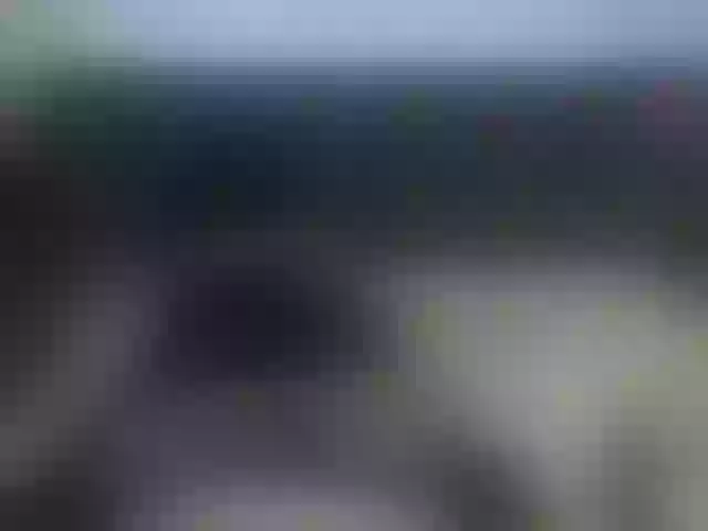 Live sex webcam photo for maksilena #241166481
