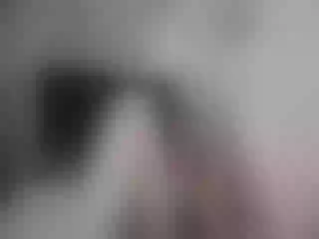 Live sex webcam photo for Girasolwalton #255765436