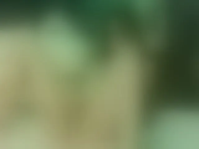 Live sex webcam photo for Alexajoyy #252278505