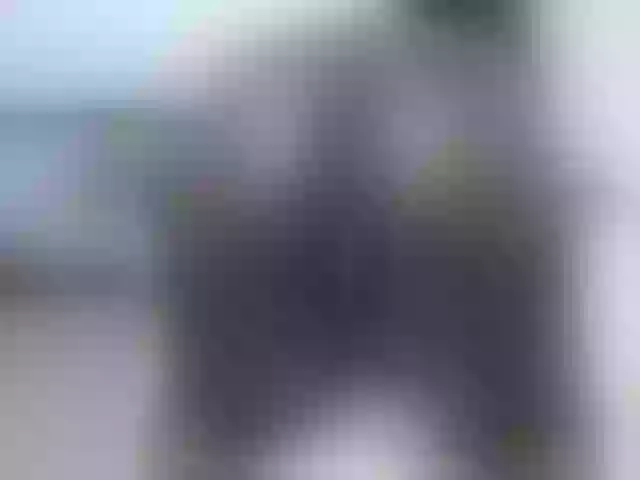 Live sex webcam photo for Leidysautss #263297125