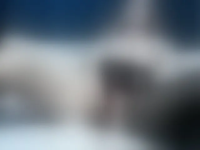 Live sex webcam photo for Ellaquality #262280394
