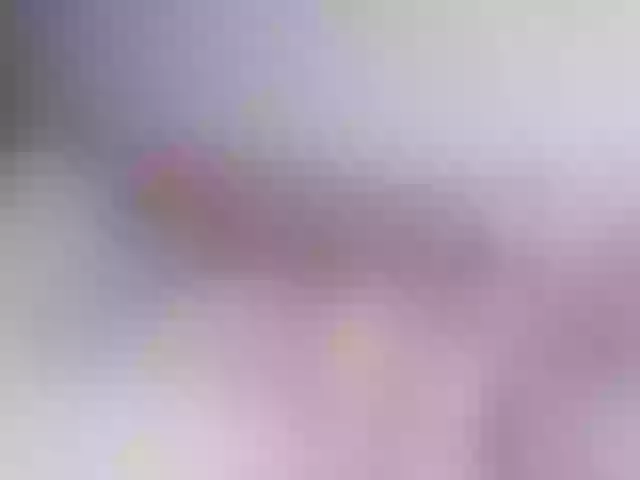 Live sex webcam photo for Malvinapink00 #247791156