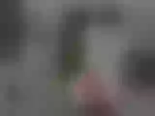 Live sex webcam photo for Misssexyvegas #251836638