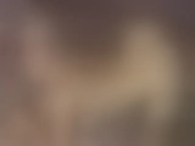 Live sex webcam photo for Xtina_ #262320375