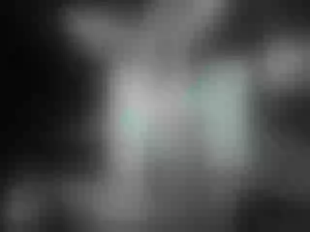 Live sex webcam photo for serenatv #254913953