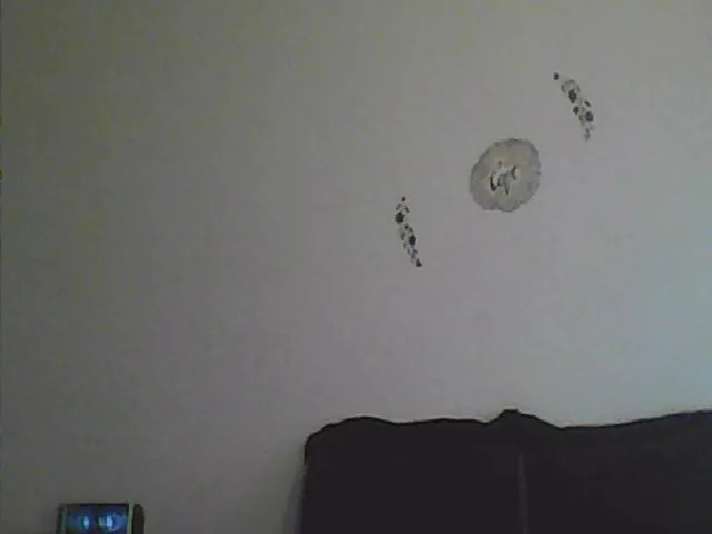 Live sex webcam photo for LusciousLindz #263220765