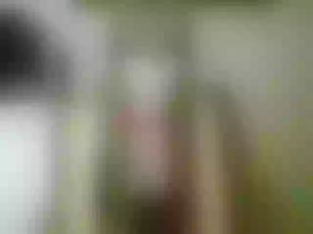 Live sex webcam photo for Terra1123 #264452671