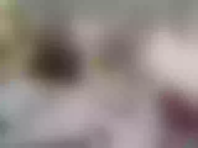 Live sex webcam photo for Krisna21 #241221039