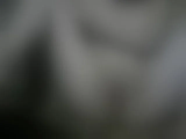 Live sex webcam photo for REPTILIAY #242948979