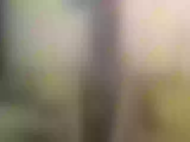 Live sex webcam photo for AngelFace4you #257002125