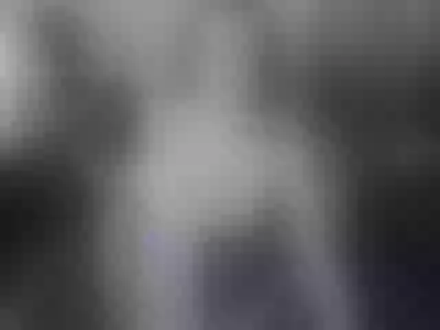 Live sex webcam photo for Justturned_18 #256874062