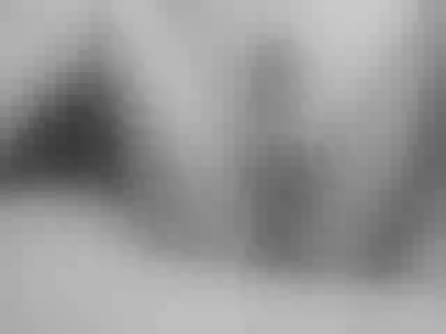 Live sex webcam photo for Girasolwalton #257175670