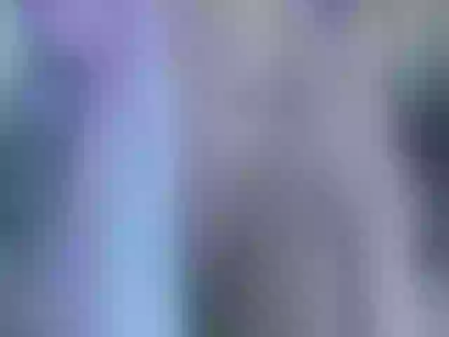 Live sex webcam photo for Selerah #260879120
