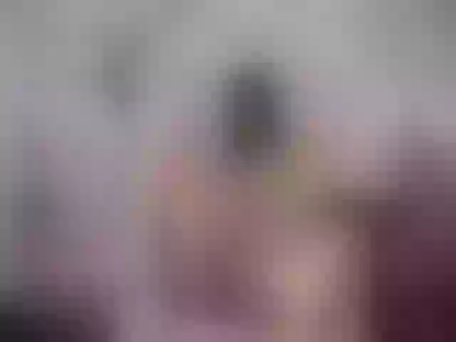 Live sex webcam photo for SexyAshley2x #263647265