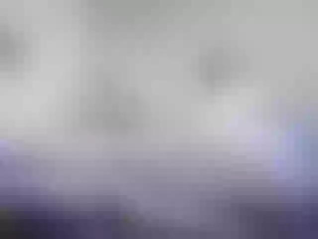 Live sex webcam photo for RachelORose #241770155