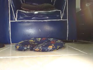 Live sex webcam photo for Alexia_Bonet #252124609