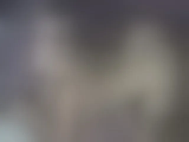 Live sex webcam photo for Xtina_ #262279939