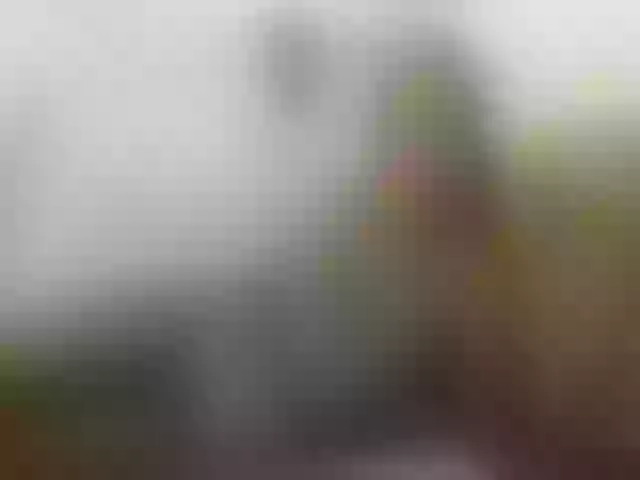 Live sex webcam photo for EleianaRose #256163860