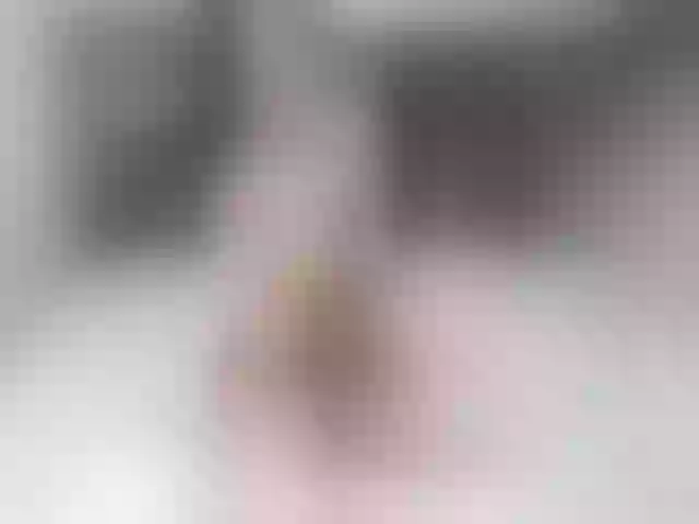 Live sex webcam photo for Nijuuyonjikan #254049837