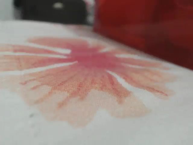 Live sex webcam photo for Sexysquirx #259562849