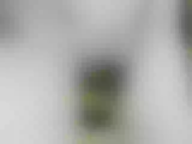 Live sex webcam photo for RubyBlaze #256723285