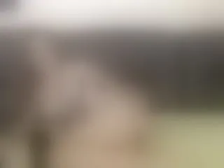 Live sex webcam photo for ErikaBird #287933838