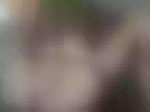 Live sex webcam photo for ego777me #287981577