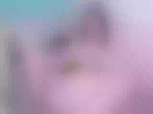 Live sex webcam photo for AmyAddams #261124521