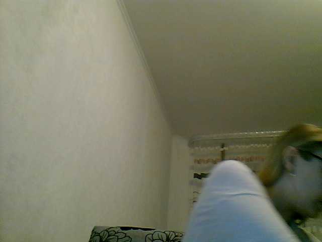 Live sex webcam photo for Blondik8889 #246778245