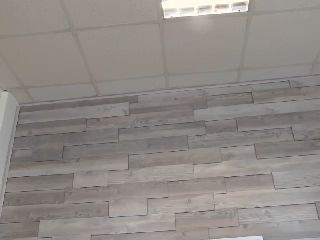 Live sex webcam photo for MissElisabeth #252008916