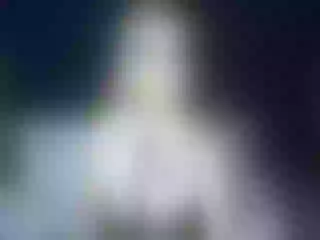 Live sex webcam photo for Ellaquality #264885439