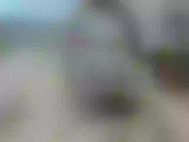 Live sex webcam photo for stressygirl #242546933