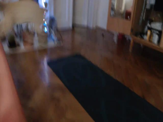 Live sex webcam photo for PetitePinkie #255776486