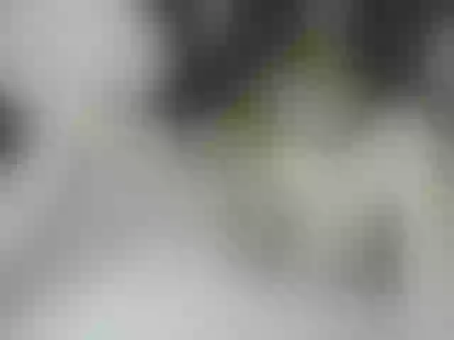 Live sex webcam photo for SabineW #259514789