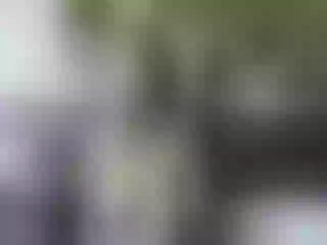 Live sex webcam photo for cozychristine #260034506