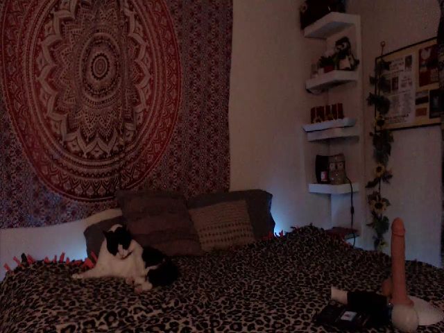 Live sex webcam photo for Missdankkitty #256207345