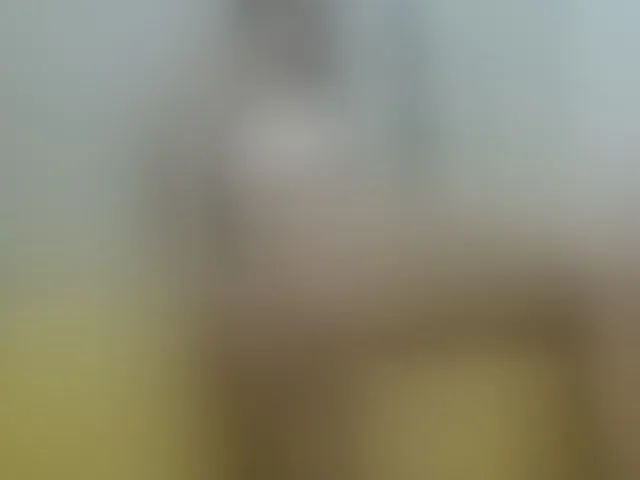 Live sex webcam photo for Likakisses #255549663