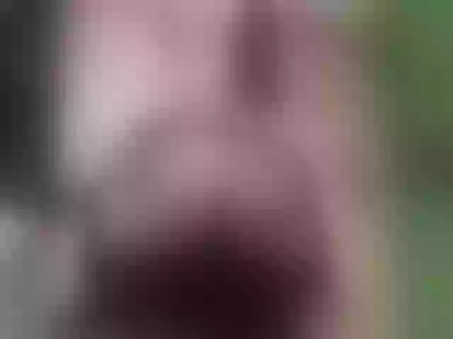 Live sex webcam photo for Bigboobiesx #263296909
