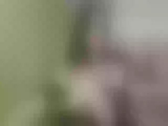 Live sex webcam photo for Evelynevi #254006096