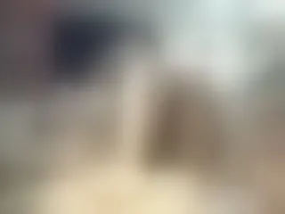 Live sex webcam photo for PrettyDolly #240762196