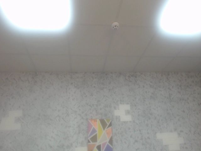 Live sex webcam photo for MadamLovely #262742144