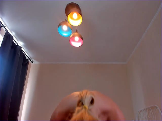 Live sex webcam photo for O1iv1a #252821555