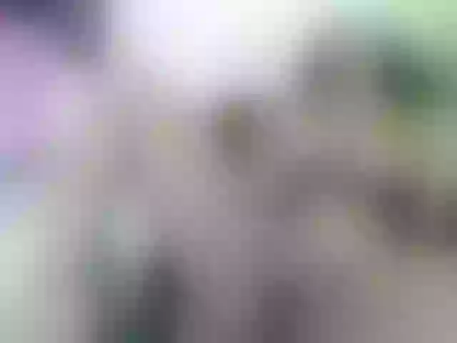 Live sex webcam photo for lylybrow #241224006