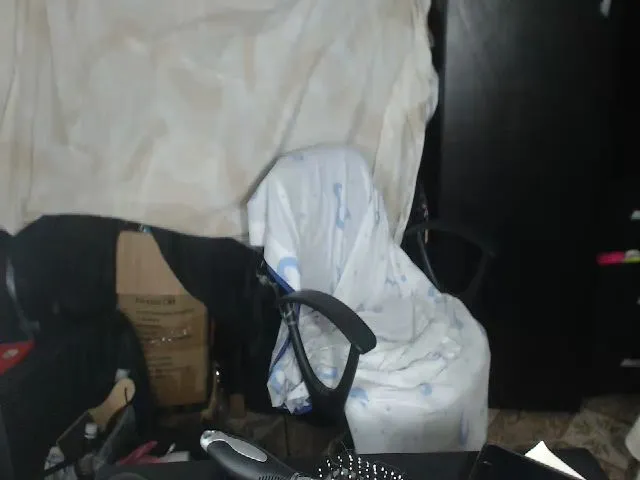 Live sex webcam photo for adrianamilf #256168900