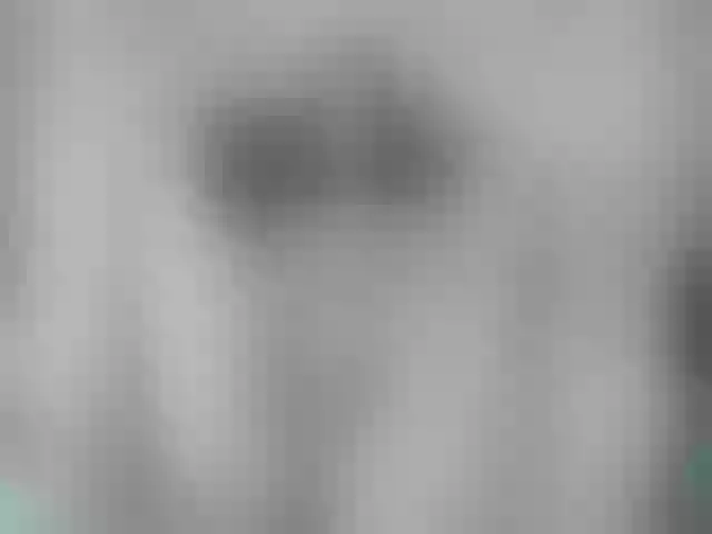 Live sex webcam photo for Mssburbuja #257428772