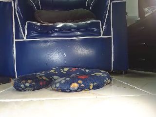 Live sex webcam photo for Alexia_Bonet #251714350